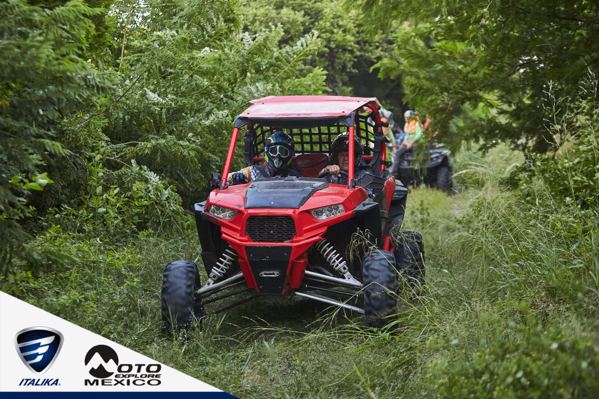 ITALIKA CHACHALACAS D1 402